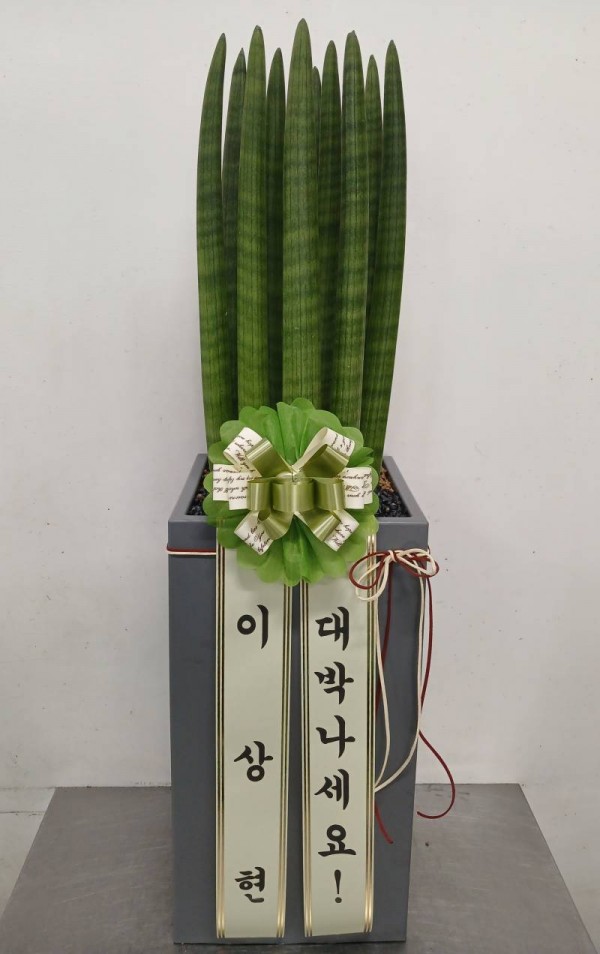 업로드 이미지
