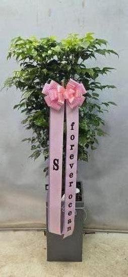 업로드 이미지