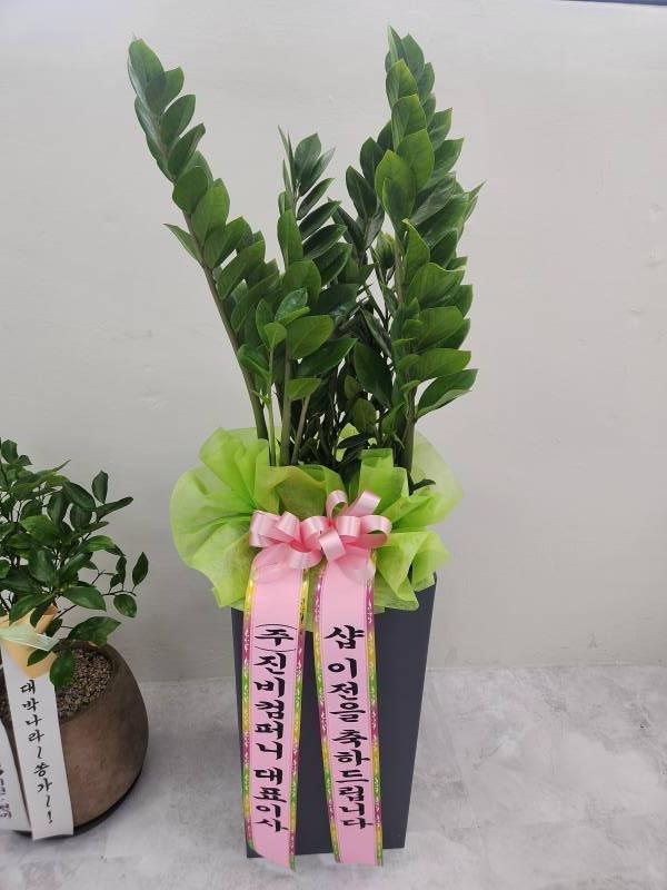업로드 이미지