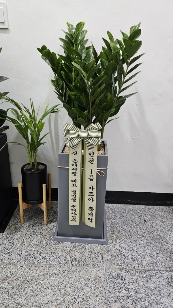 업로드 이미지