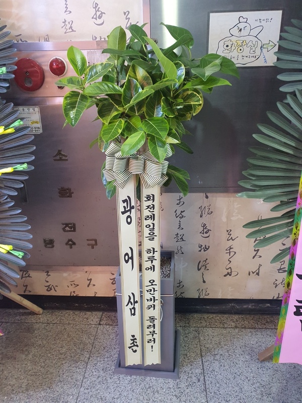 업로드 이미지