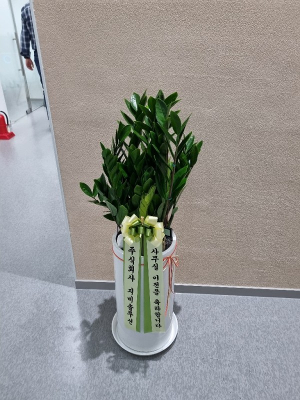 업로드 이미지