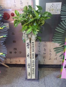배송사진