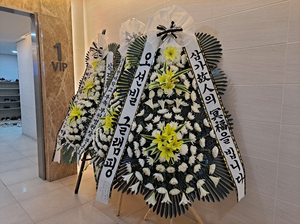 업로드 이미지
