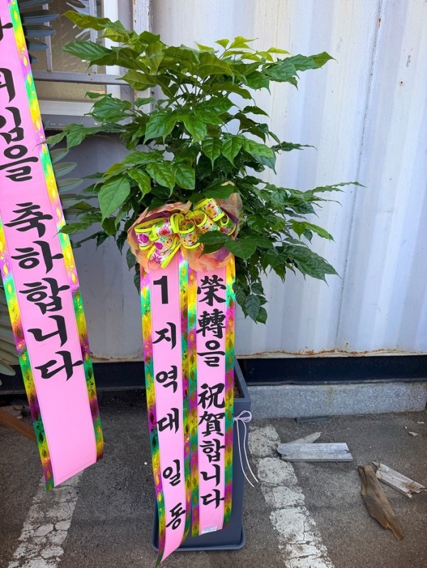 업로드 이미지