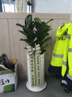 배송사진