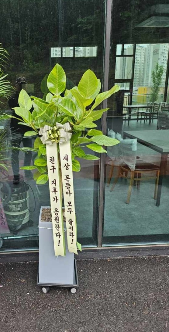 업로드 이미지
