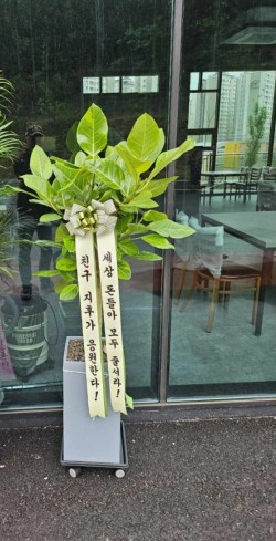 배송사진