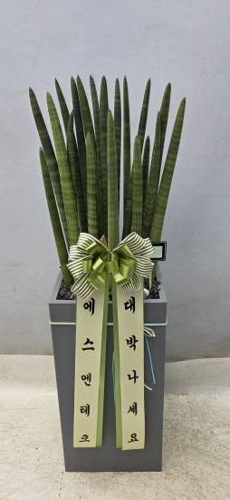업로드 이미지
