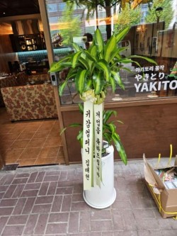 배송사진