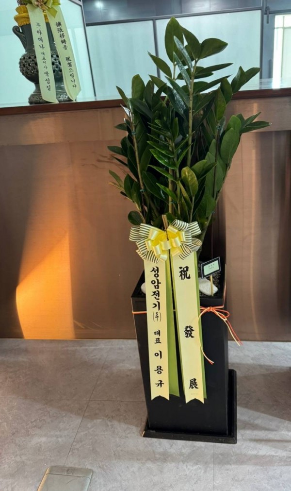 업로드 이미지