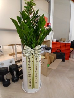 배송사진