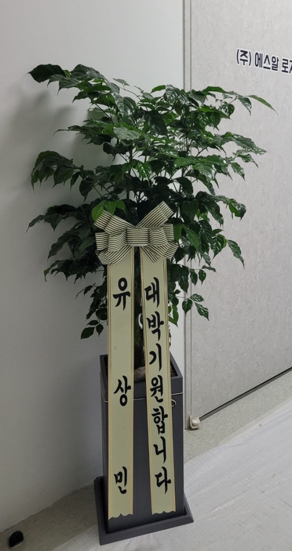 업로드 이미지