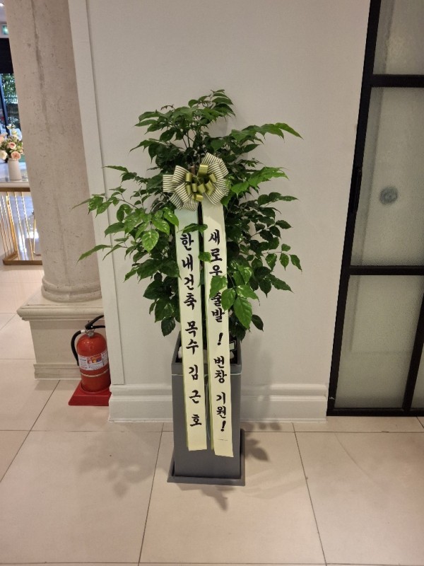 업로드 이미지