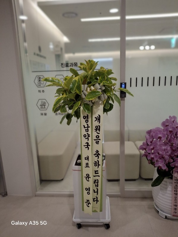 업로드 이미지