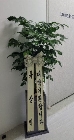 배송사진