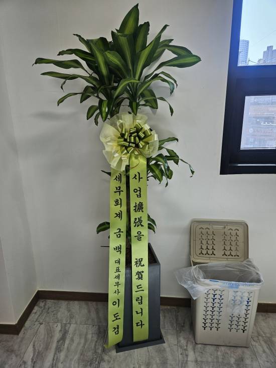 업로드 이미지