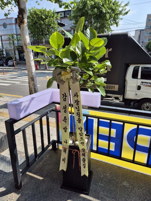 업로드 이미지