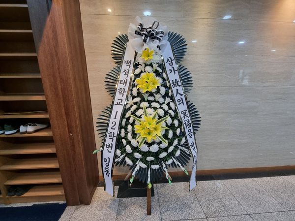 업로드 이미지