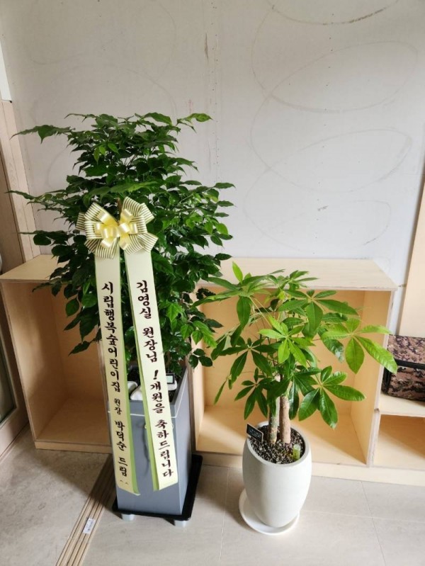 업로드 이미지