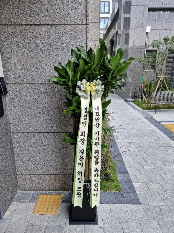 업로드 이미지