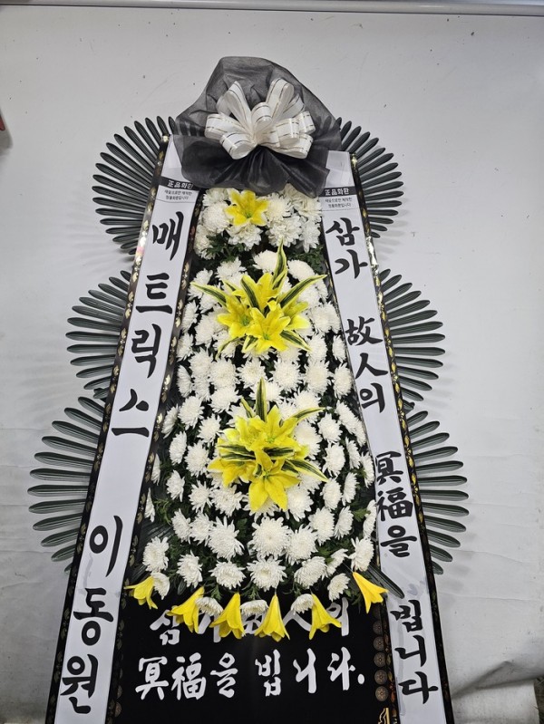 업로드 이미지
