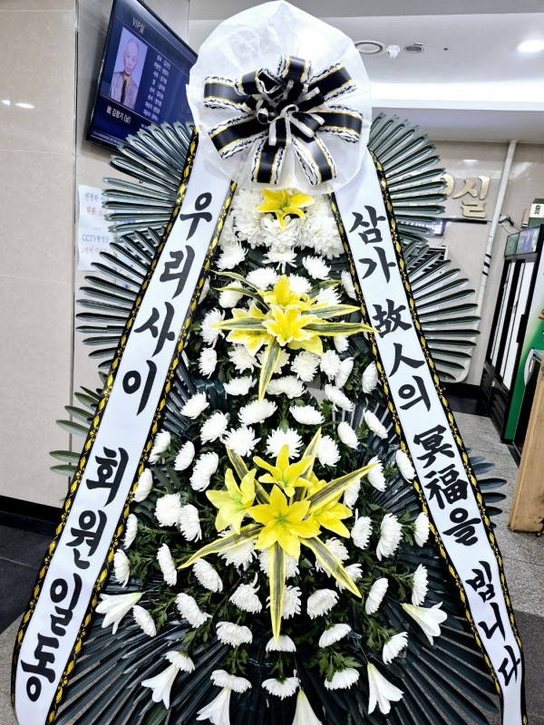 업로드 이미지