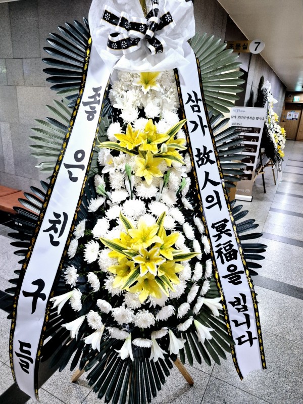 업로드 이미지