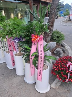 배송사진