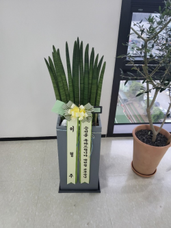 배송사진