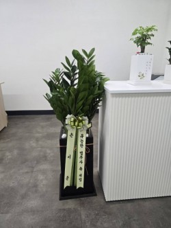 배송사진