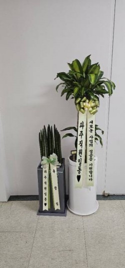배송사진