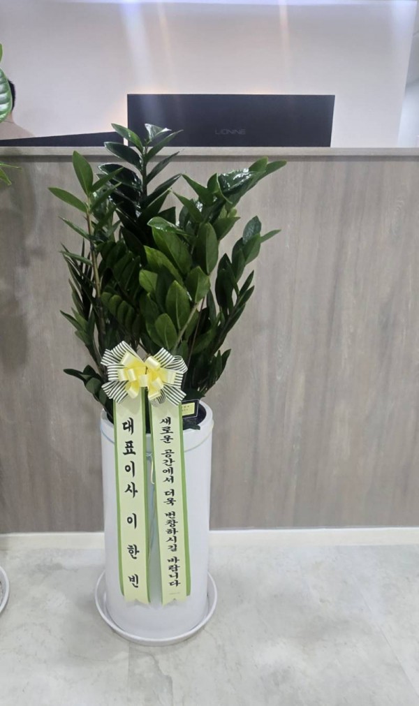 업로드 이미지