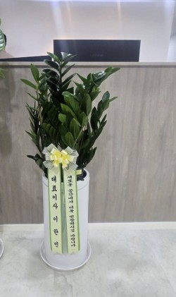 배송사진