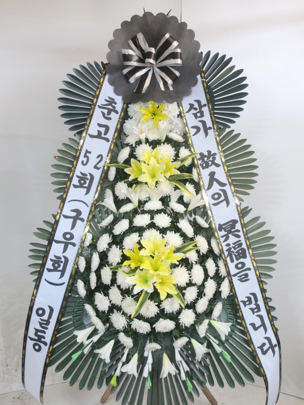 업로드 이미지