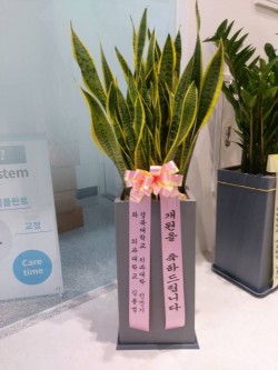 배송사진