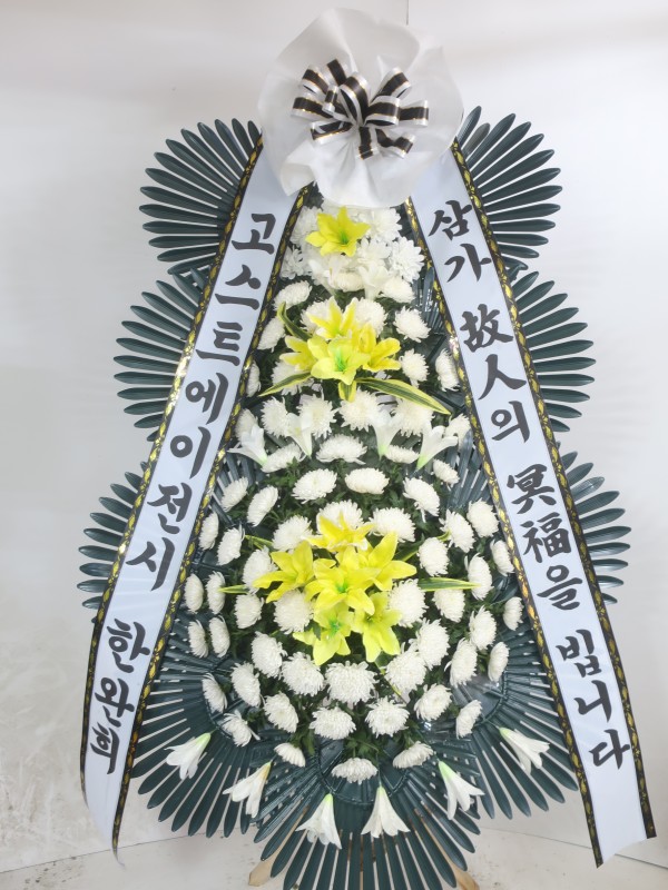 업로드 이미지