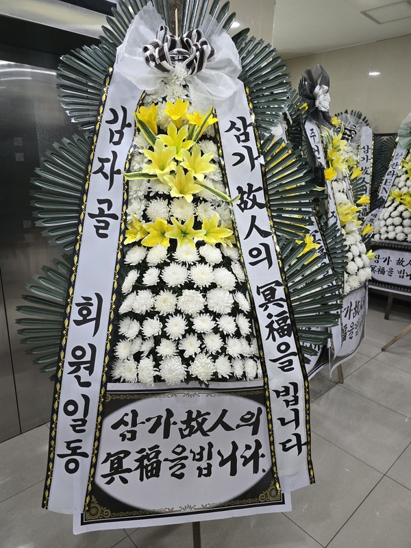 업로드 이미지