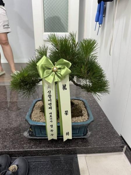 업로드 이미지