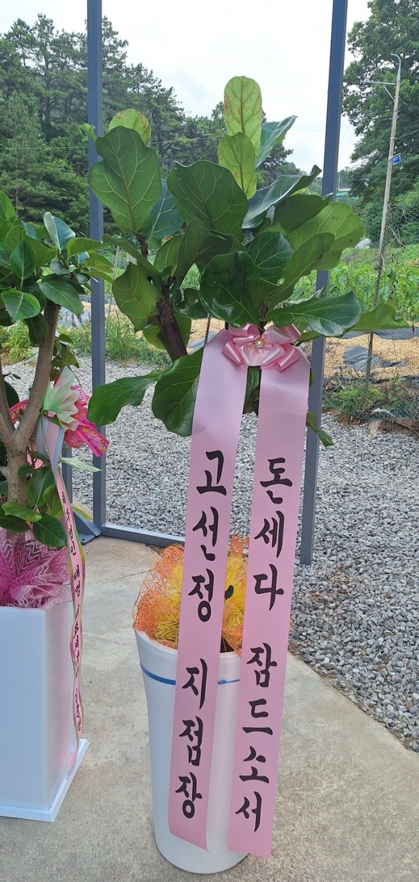 업로드 이미지