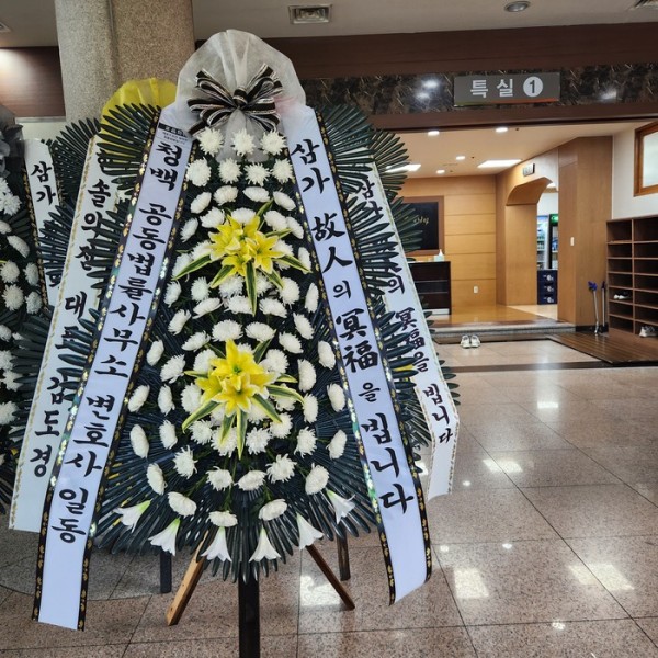 업로드 이미지
