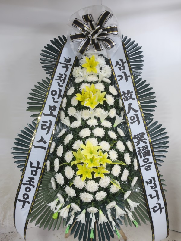 업로드 이미지