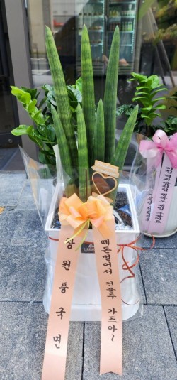 배송사진