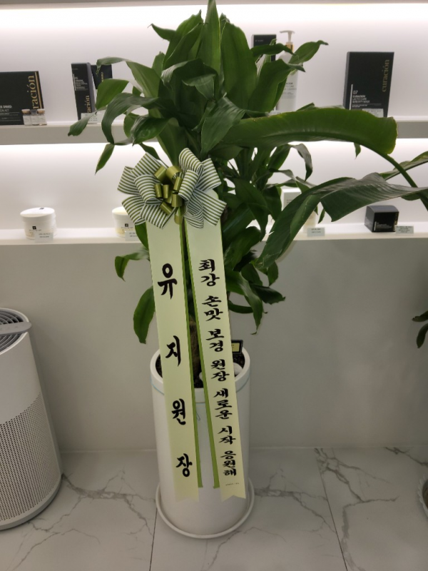 업로드 이미지