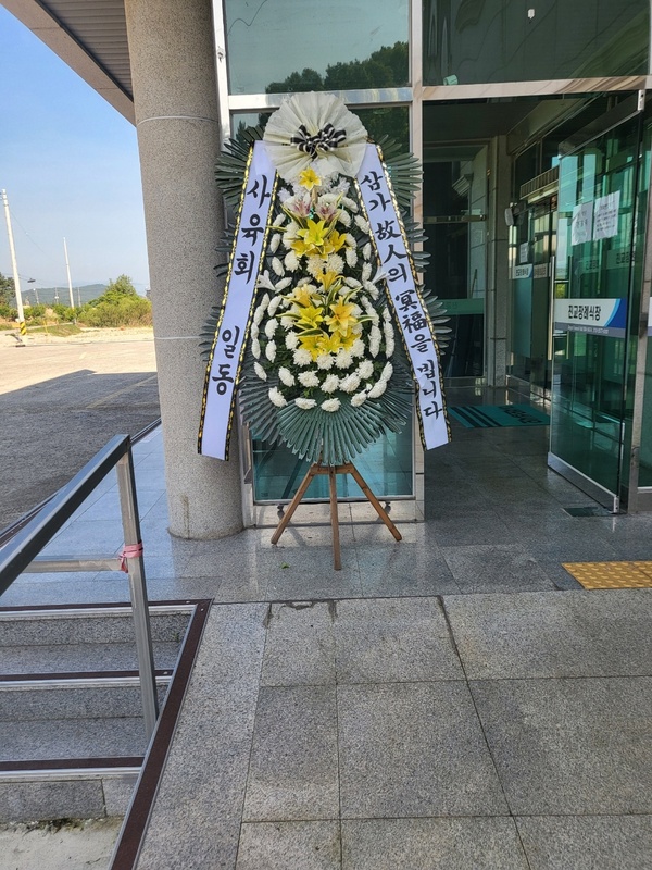 업로드 이미지