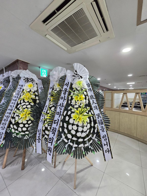 업로드 이미지