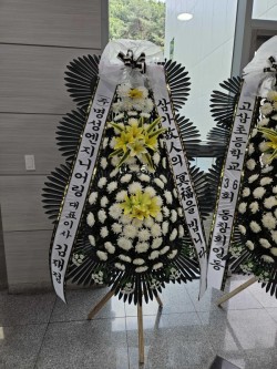 배송사진