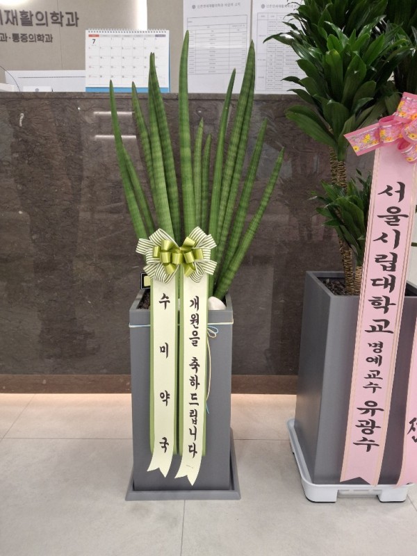 업로드 이미지