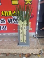배송사진
