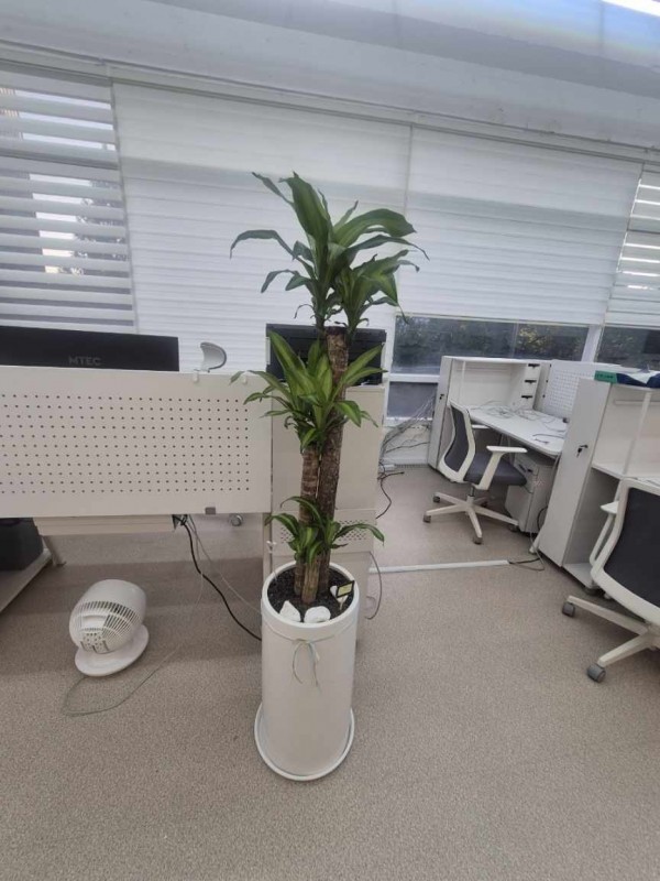 업로드 이미지